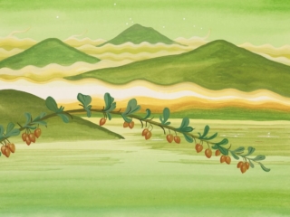 20’li yaşların görünmeyen krizi: Kendini ararken daha da kaybolmak