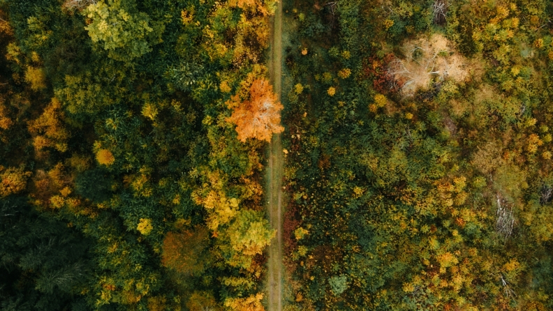 19 Ekim 2025: Günlük burç yorumları