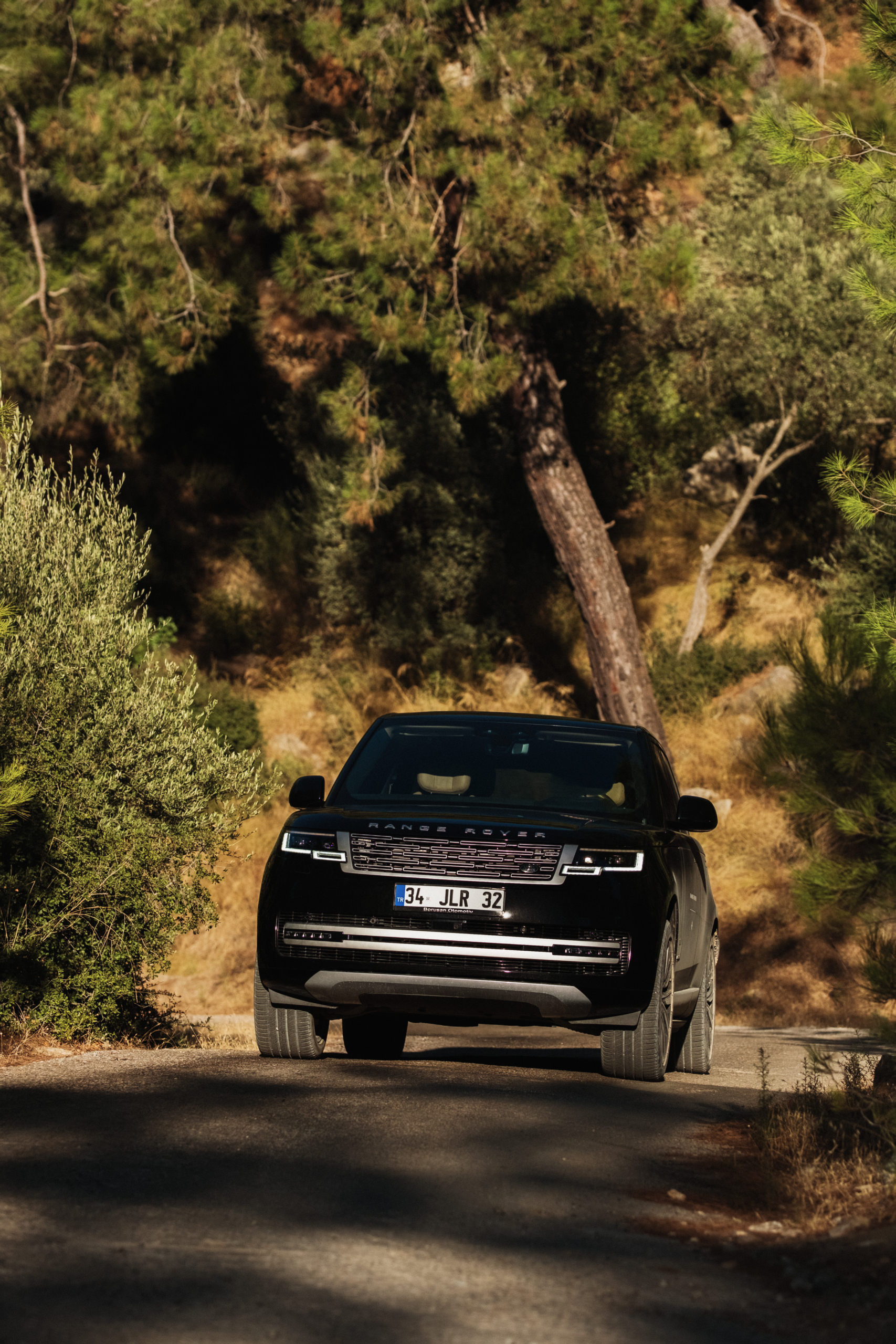 MIORI’de Pink Martini rüzgarı: Range Rover'la unutulmaz bir gece ...