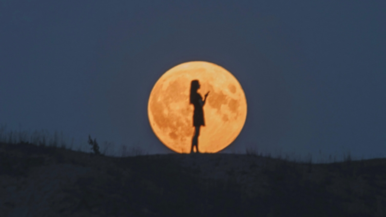 Yengeç kadınıyla aşk yaşamak: Şefkatle kurulan bir bağ