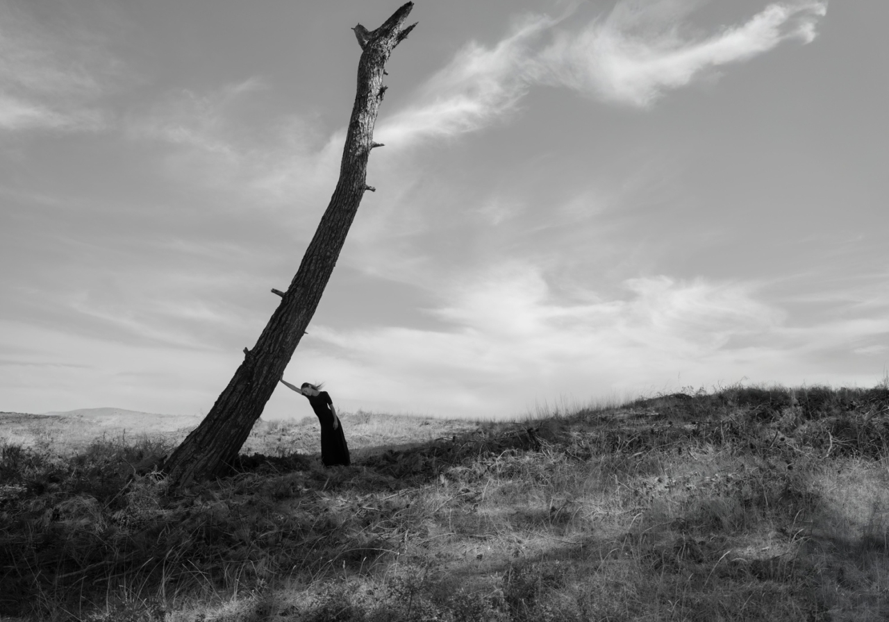 Yves Rocher Vakfı ve Murathan Özbek’ten “Yanıbaşında”: Ağaçlarla kurulan bir dostluk hikayesi
