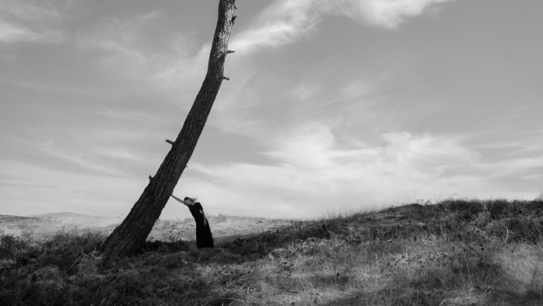 Yves Rocher Vakfı ve Murathan Özbek’ten “Yanıbaşında”: Ağaçlarla kurulan bir dostluk hikayesi