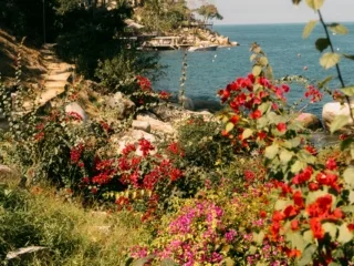 12-18 Ocak: Haftalık burç yorumu