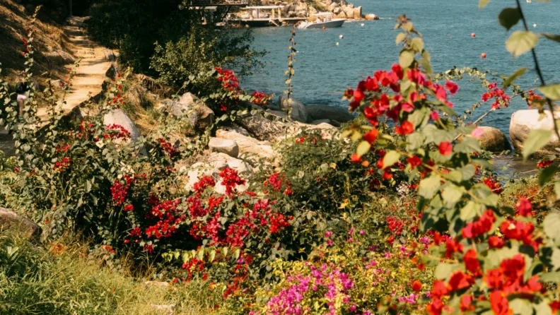 12-18 Ocak: Haftalık burç yorumu