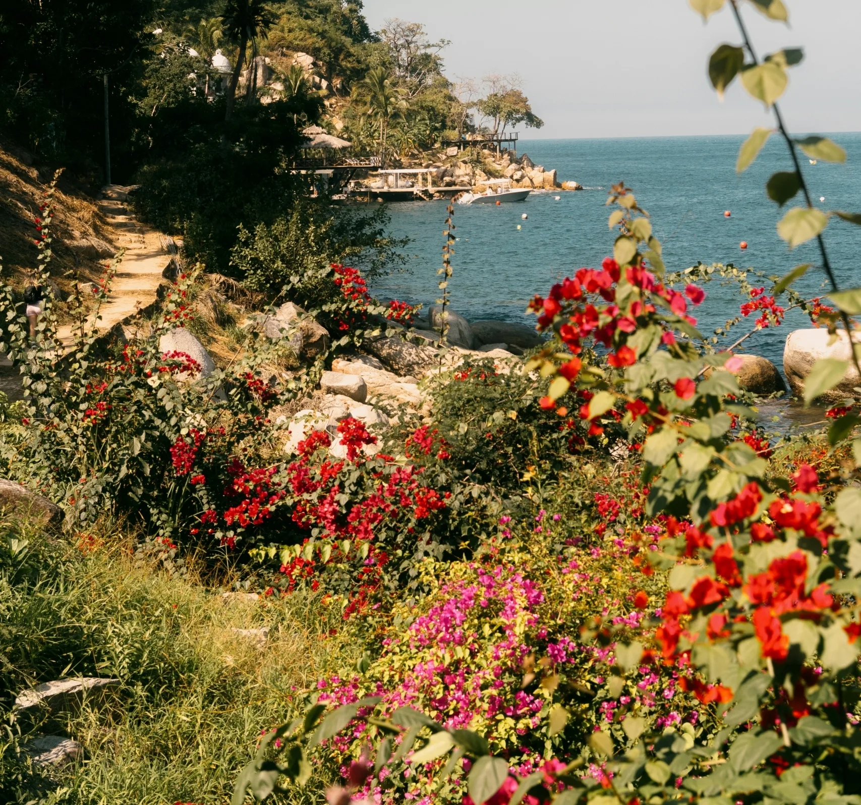 12-18 Ocak: Haftalık burç yorumu