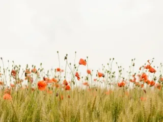 26 Ocak haftası burç yorumları
