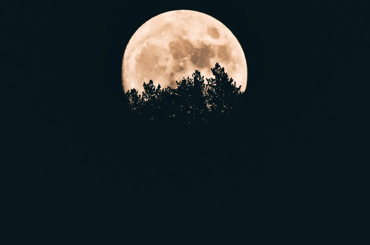 5-11 Ocak: Haftalık burç yorumu