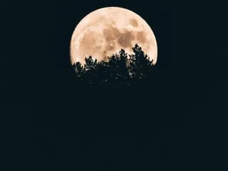 5-11 Ocak: Haftalık burç yorumu