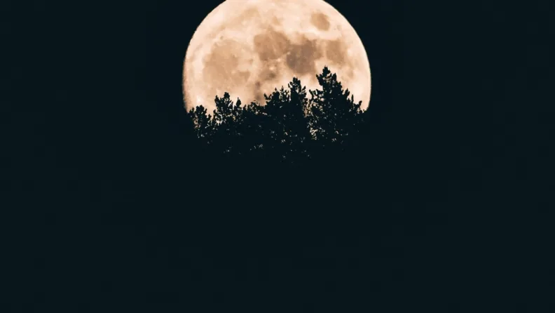 5-11 Ocak: Haftalık burç yorumu