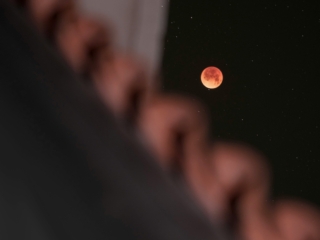 3 Mart 2026 Ay Tutulması: Astrolog Özlem Recep anlatıyor