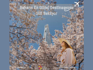 Baharın en zarif hikayesi: Güney Kore’de Kiraz Çiçeği mevsimi