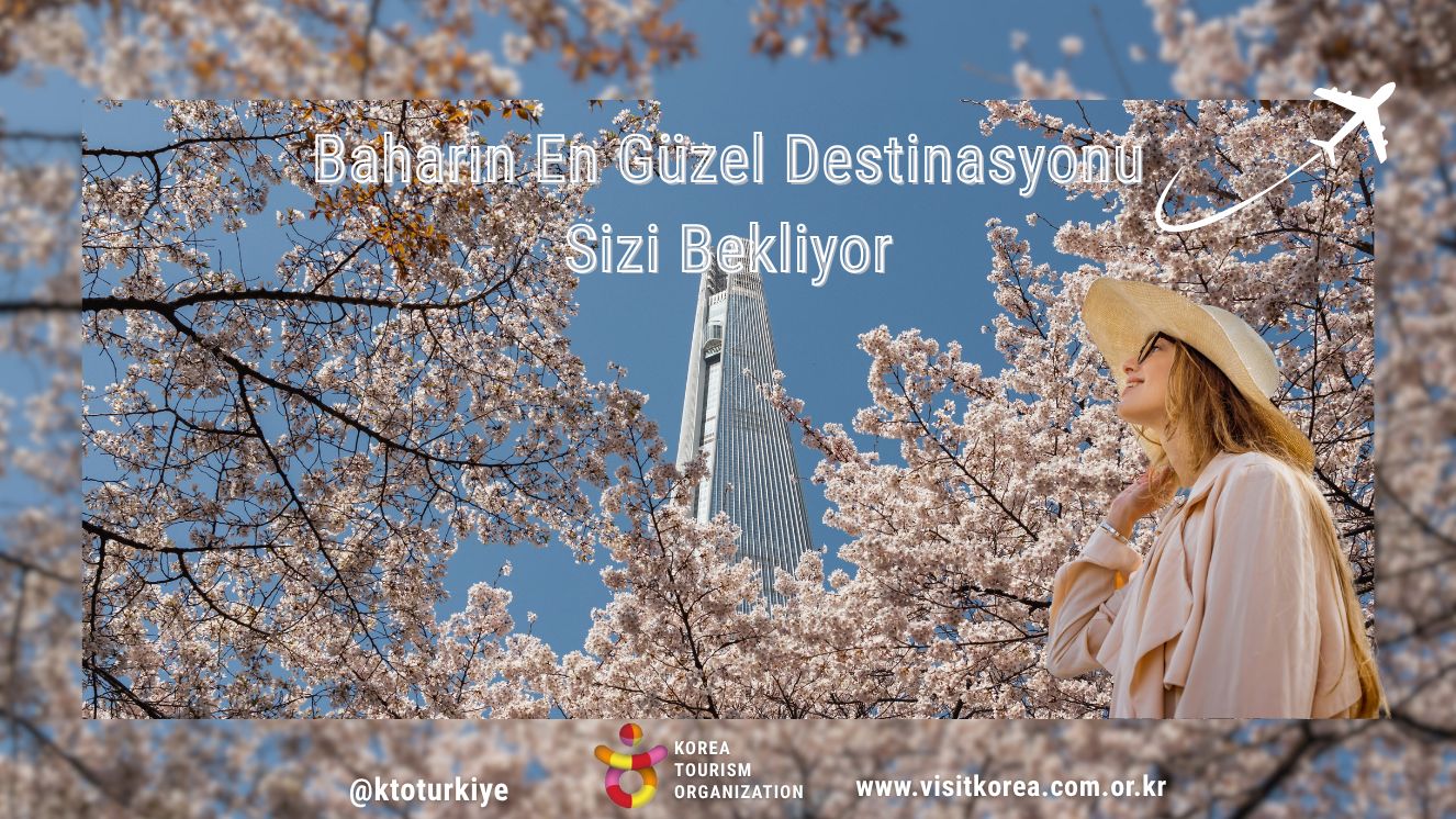 Baharın en zarif hikayesi: Güney Kore’de Kiraz Çiçeği mevsimi
