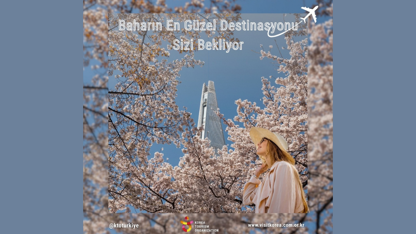 Baharın en zarif hikayesi: Güney Kore’de Kiraz Çiçeği mevsimi