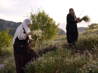Alışılmış düzene meydan okuyan kadınlar