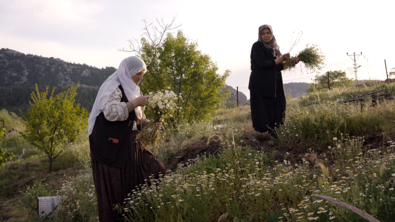 Alışılmış düzene meydan okuyan kadınlar
