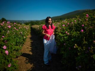 Gülün peşinde: Koku, miras ve tutkunun topraktan başlayan hikayesi